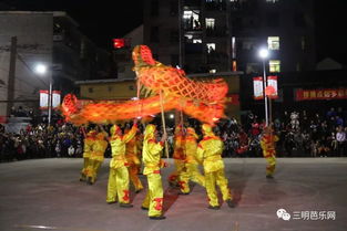 三明这同时耍8条龙灯,场面太壮观