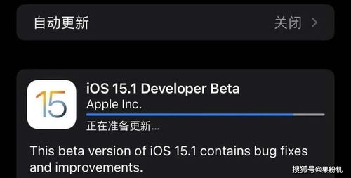 iOS 15.1 又来了,开启新功能