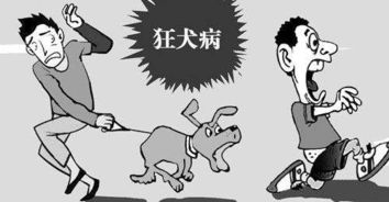 漯河今年已有两人因狂犬病死亡,养狗的越来越多,千万警惕