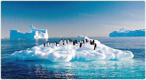 气温升高导致南极最大冰川脱落,面积4320平方公里,有4个纽约大