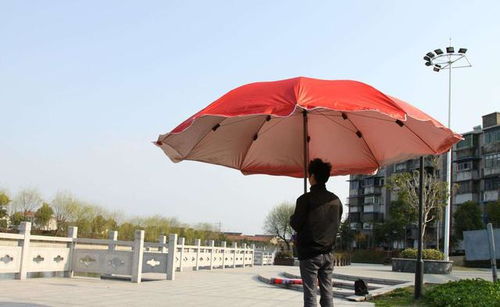 8个趣味冷知识,雨伞最早并不是为了防雨,打呼噜时不能同时做梦