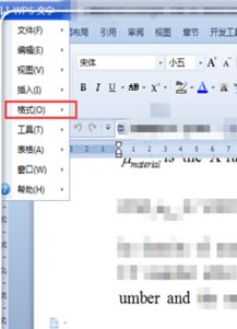 wps office怎么自动换行 wps里面自动换行