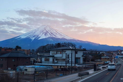 想要去日本旅游需要哪些证件？