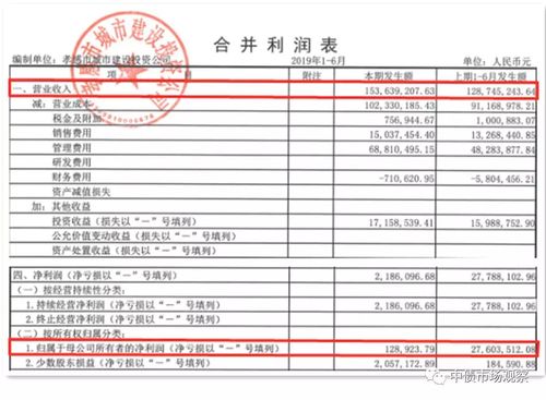 揭开财务报表的面纱