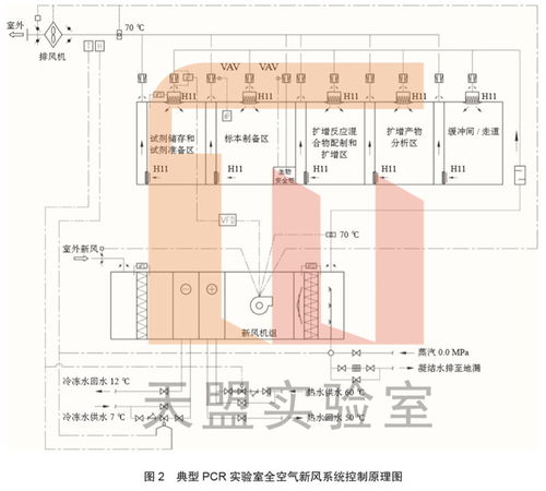 新冠核酸检测PCR实验室设计规划要点分析 最详细版 TMOONLAB