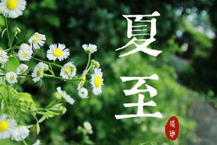 节气 夏至已至,请君清心 