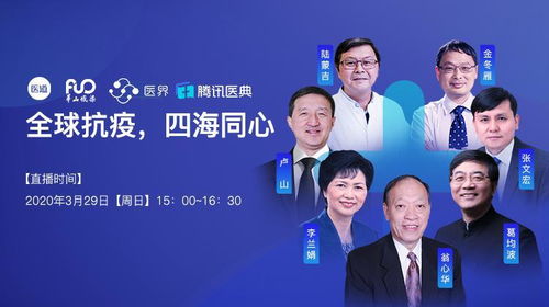 金鑫国际的亮点是什么?稳定吗,会不会变呀?