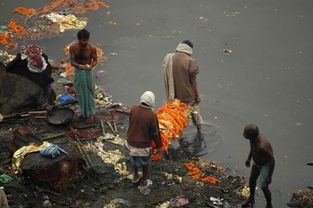 印度恒河水葬,干净的印度恒河:这是古老的水葬传统
