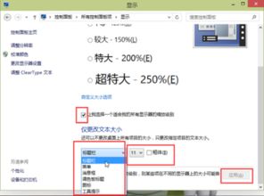 电脑软件字太小怎么改大