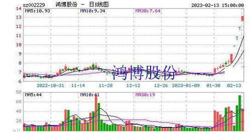 鸿博股份怎么样