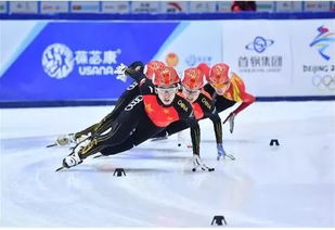 短道速滑和速度滑冰,哪个是我国最强的项目 (中国速滑直接晋级世界*)