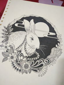 黑白插画 十二生肖