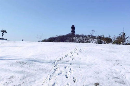 下雪啦 当涂下雪啦 一大波雪景美照刷爆朋友圈,晒雪景赢88元红包