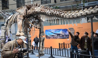 史上最大恐龙骨架亮相北京 巨型汝阳龙来京展出