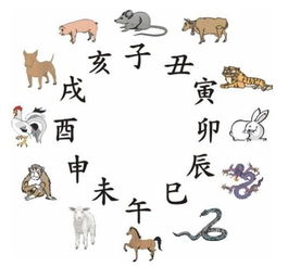 你知道丙申猴年,丁酉鸡年,戊戌狗年其中的奥秘吗 