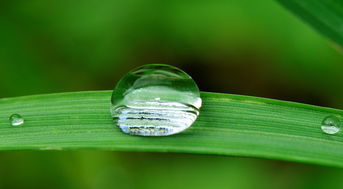 秋雨绵绵，诗意无边，秋天带有雨的词语有哪些