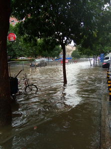 这大雨下的都淹了