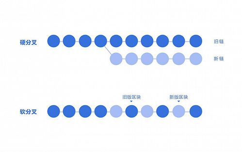 比特币硬分叉来源,什么是比特币区块链的分叉