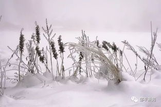 预计未来一周主要有一次冷空气过程,出现在15 16日