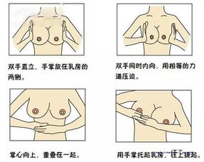 围孕小课堂|孕期乳房护理：呵护乳房，为哺乳做好准备