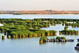 沙湖风景区,绝美沙湖：大自然的杰作，心灵的归宿