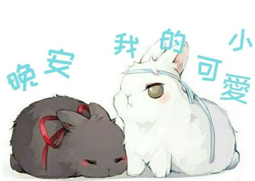 魔道祖师 忘羡变身萌兔子,黑猪白菜也不错,你喜欢哪一种