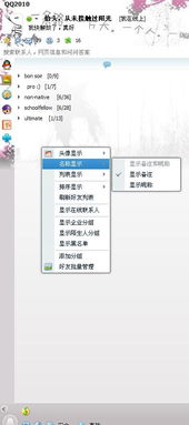 QQ上怎么显示备注的姓名和网名啊 