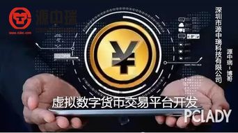  数字货币与电子货币的区别,什么是数字货币？和货币数字化两者有什么区别 USDT行情