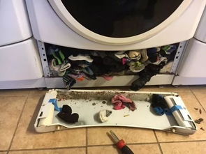 总丢袜子 拆开洗衣机就找到了...但是更可怕的不止这些 
