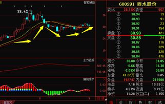 ６００２９１西水股份，后势如何？