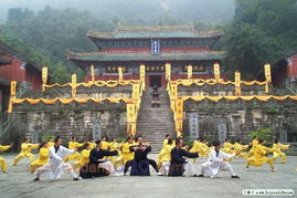 Wudang kungfu 