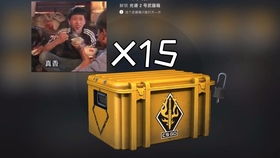 CSGO 官匹服务器莫名崩溃,库存皮肤无法使用