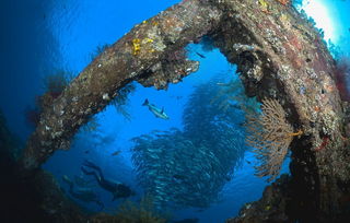 巴厘岛旅游能不能潜水，巴厘岛旅游能不能潜水呢