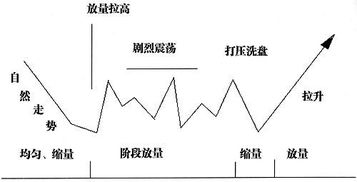 主力台拉明显，建议介入是什么意思