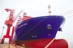 中国造超大型集装箱船命名交付 