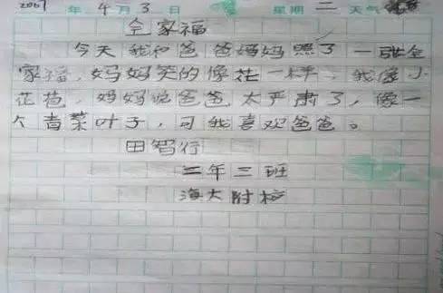 乱扔垃圾作文