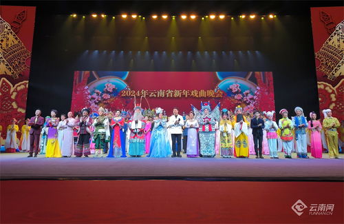 2024年新戏曲晚会,2024年新戏曲晚会：传承中华文化的盛会 