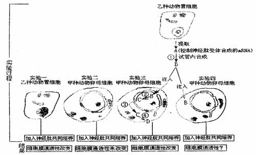 简述肺炎双球菌转化实验过程-第2张图片