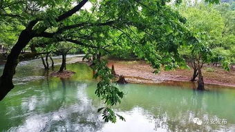 灵瀑 仙湖 古刹 浙江竟然藏着这样一条梦幻幽谷,一草一木都让人陶醉 