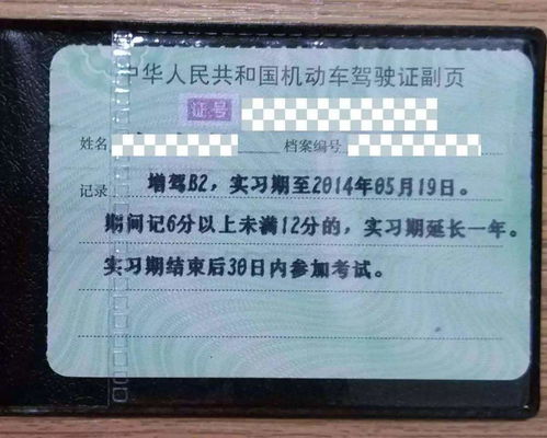 实习期过了,驾照上的副页要更换吗 交警 别因不注意让驾照失效