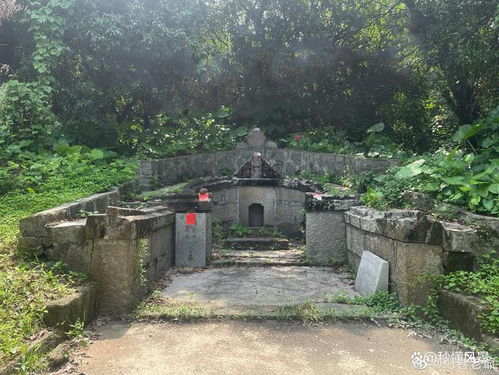 广州最恐怖的公园,山上到处都是坟墓,不要门票都很少有人去