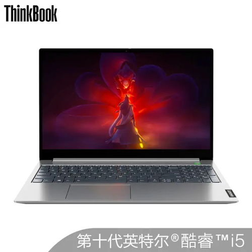 thinkbook15i5-1035g7与戴尔成就5590相比，谁的性价比更高？