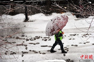 高清组图 辽宁 三月飘雪 鹅毛大雪漫天飞舞 