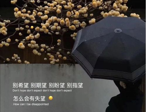 真抱歉,说好了以后不再想你的