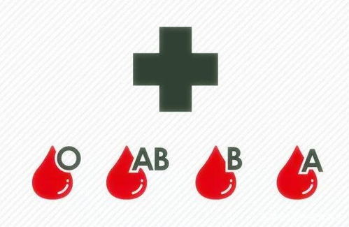 血型决定寿命 A B O和AB型,哪种血型更长寿 医生给出了答案