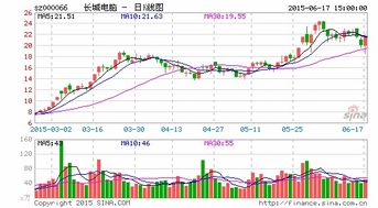 长城信息为什么停牌