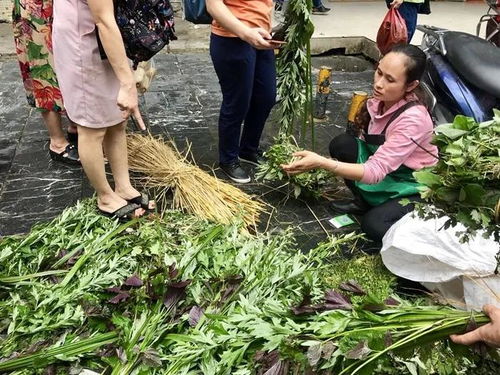 端午记忆影像 镜头下的他们,是这样过端午的 菖蒲 