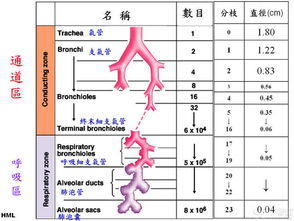 生理学知识点总结