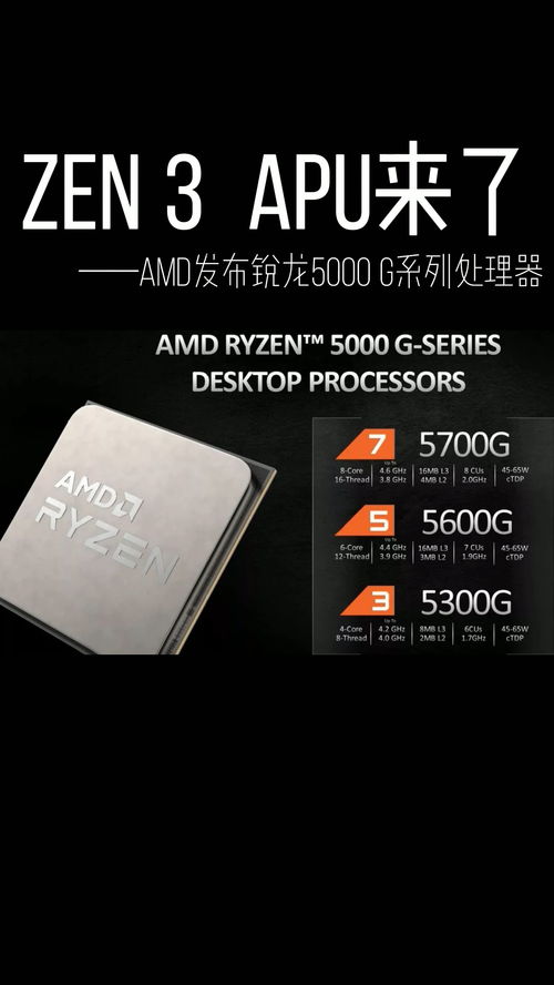 amd5000(amd5000 应该配什么显卡？)