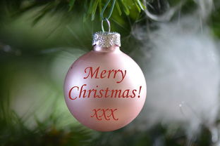 圣诞,圣诞摆设,装饰,公众假期,圣诞节快乐,最良好的祝愿 